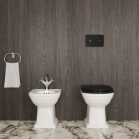WC klavišas Ideal Standard ProSys, Elektroninis, Altes, juoda keramika